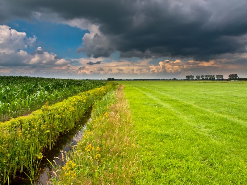 landscape drainage installation and repair