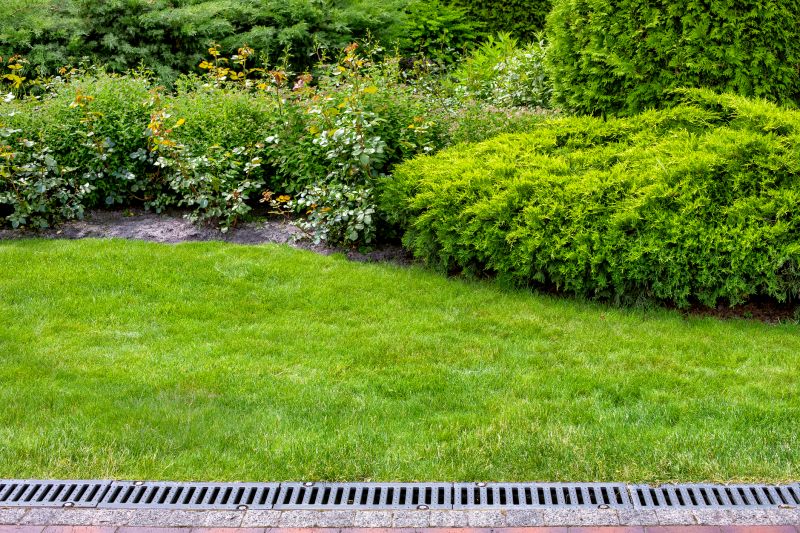 Landscape Drainage Installation And Repair